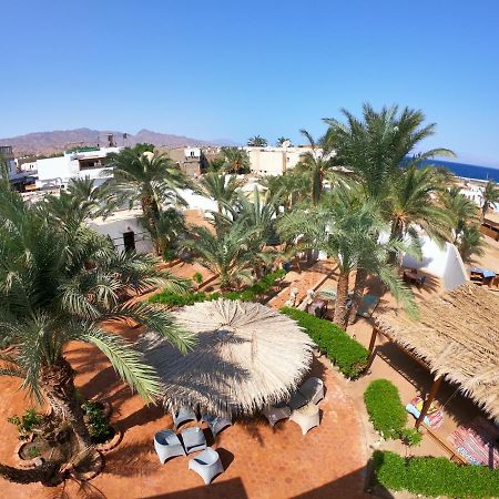 Miramar Camp Dahab Hotel Exterior foto