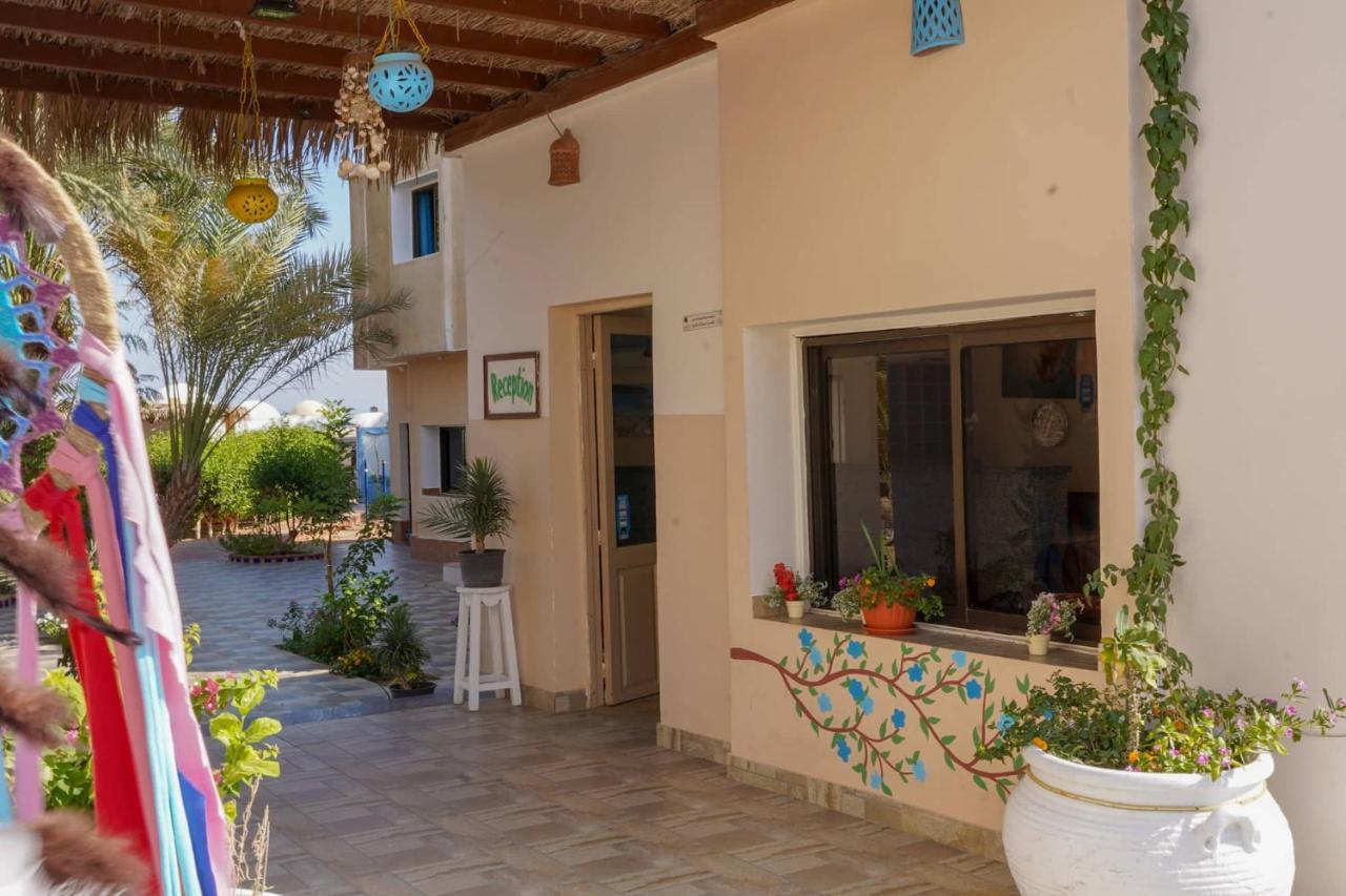 Miramar Camp Dahab Hotel Exterior foto