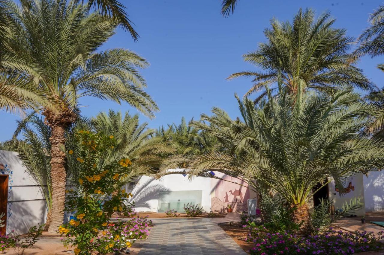 Miramar Camp Dahab Hotel Exterior foto