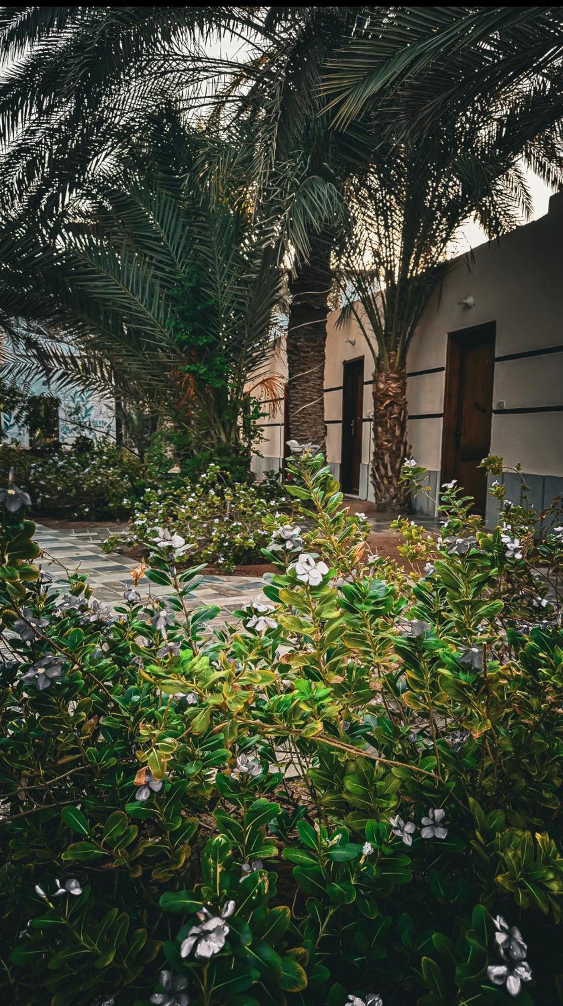 Miramar Camp Dahab Hotel Exterior foto