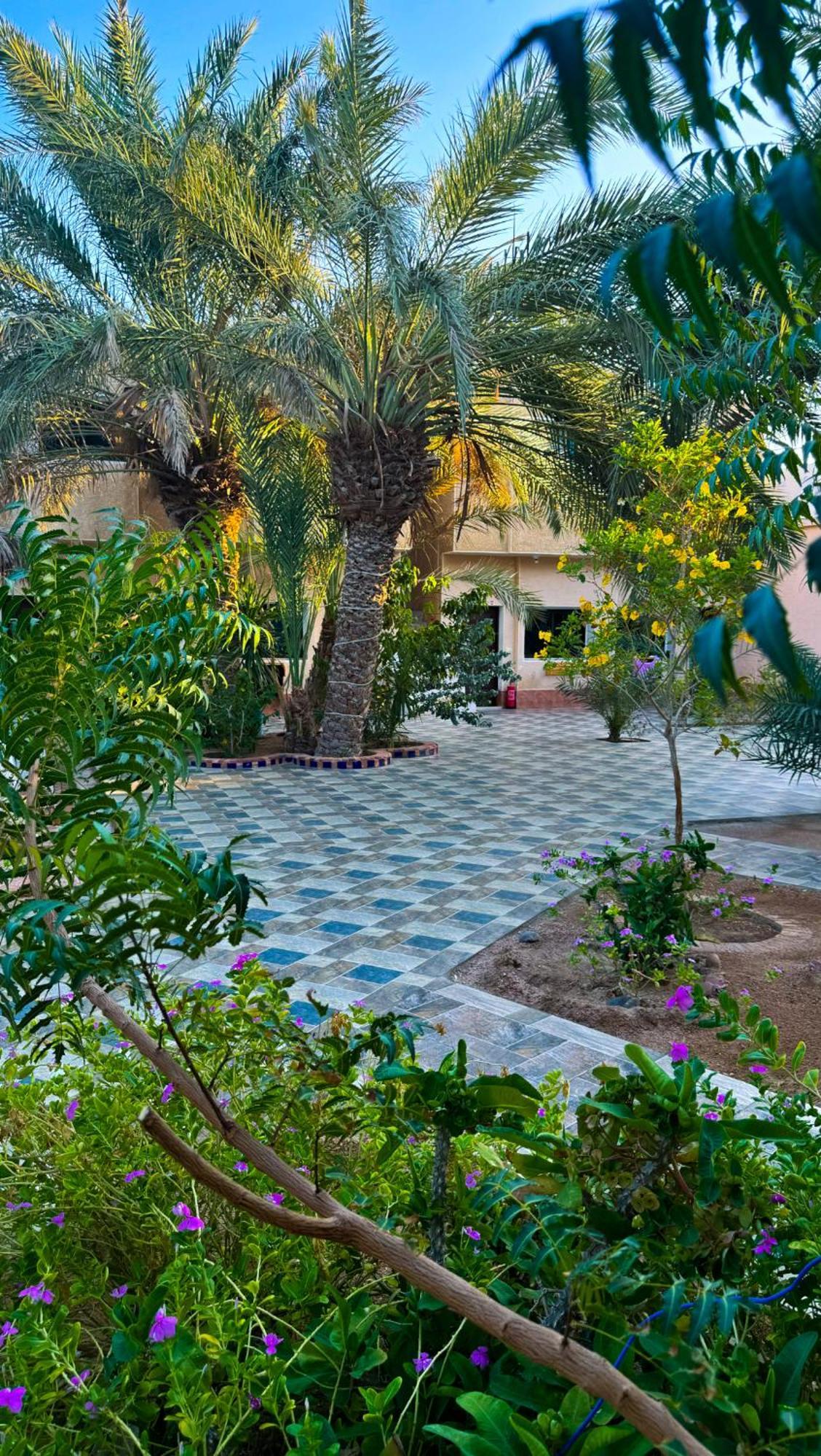 Miramar Camp Dahab Hotel Exterior foto
