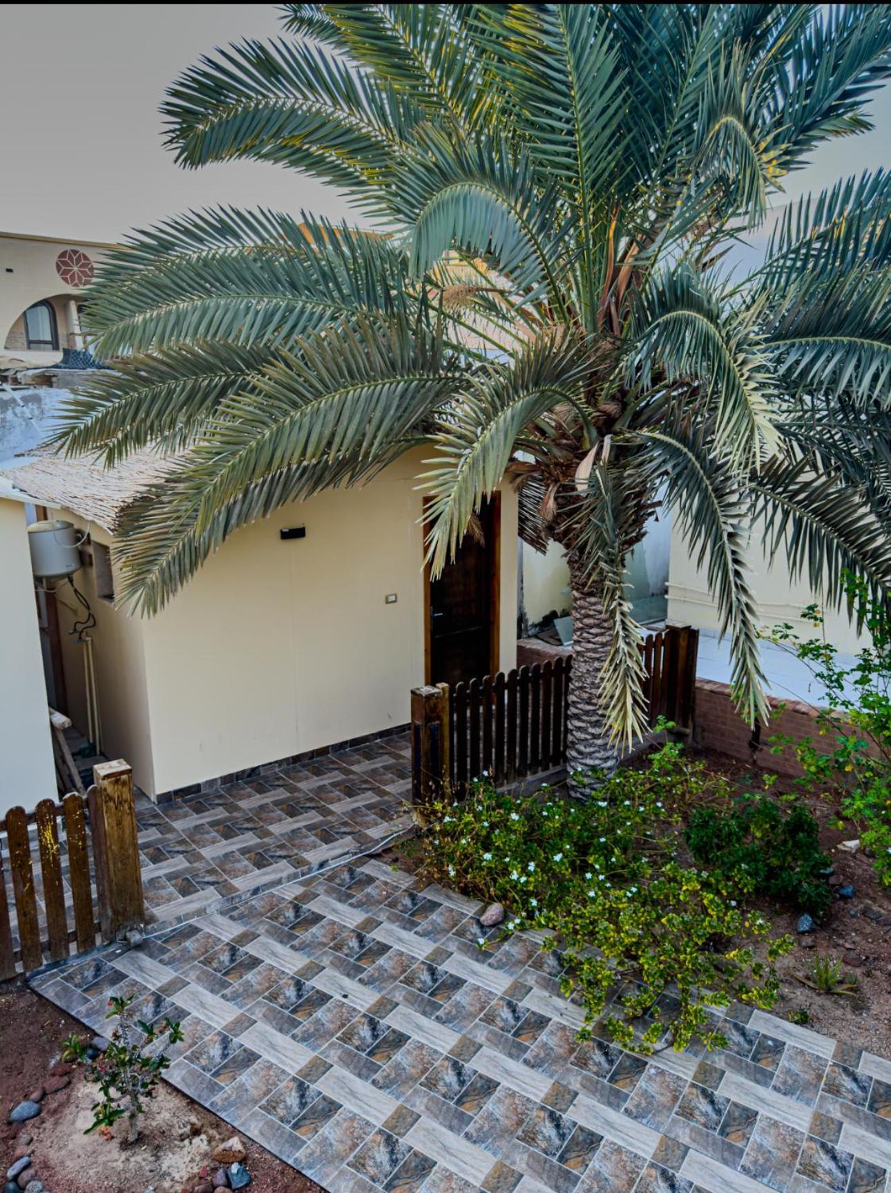 Miramar Camp Dahab Hotel Exterior foto