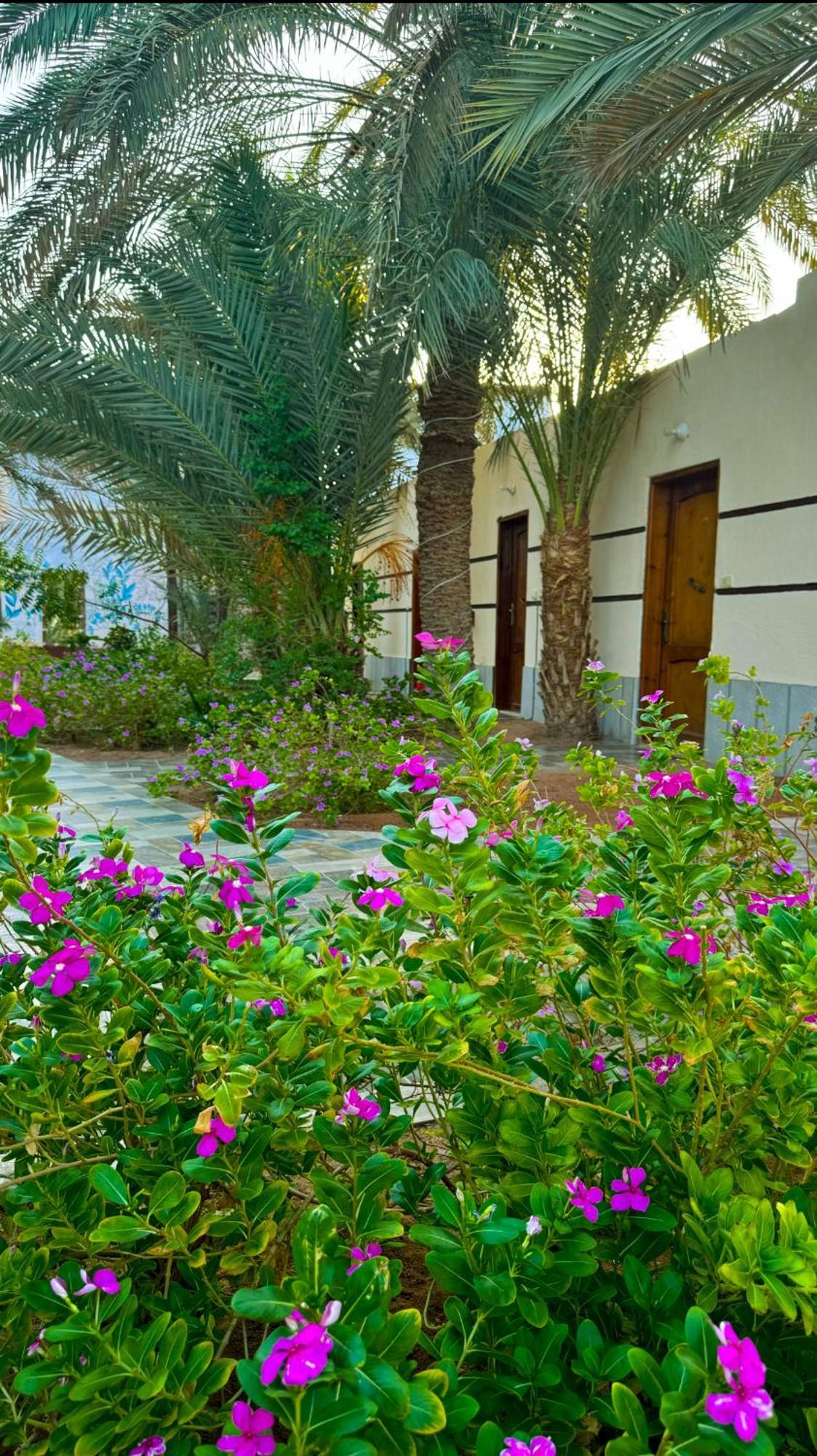 Miramar Camp Dahab Hotel Exterior foto