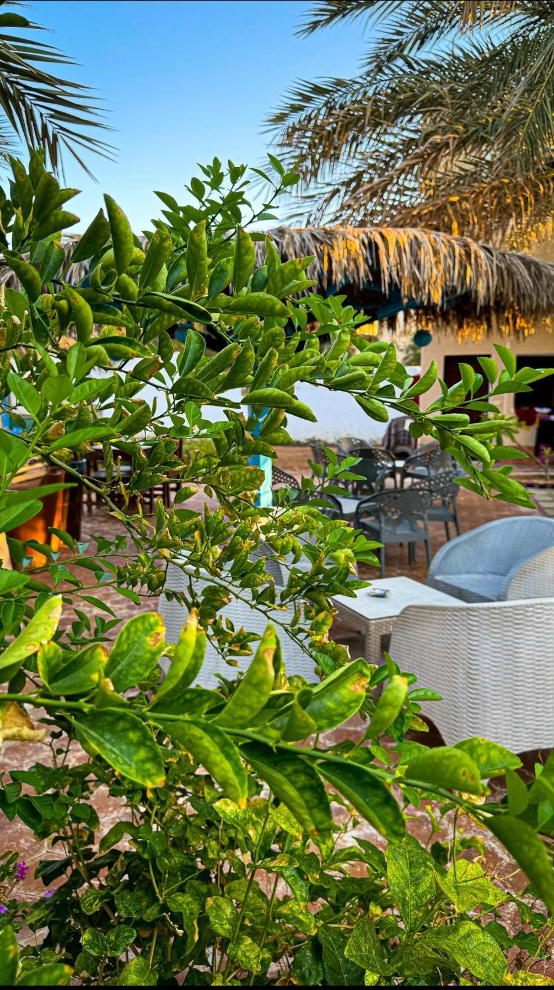 Miramar Camp Dahab Hotel Exterior foto