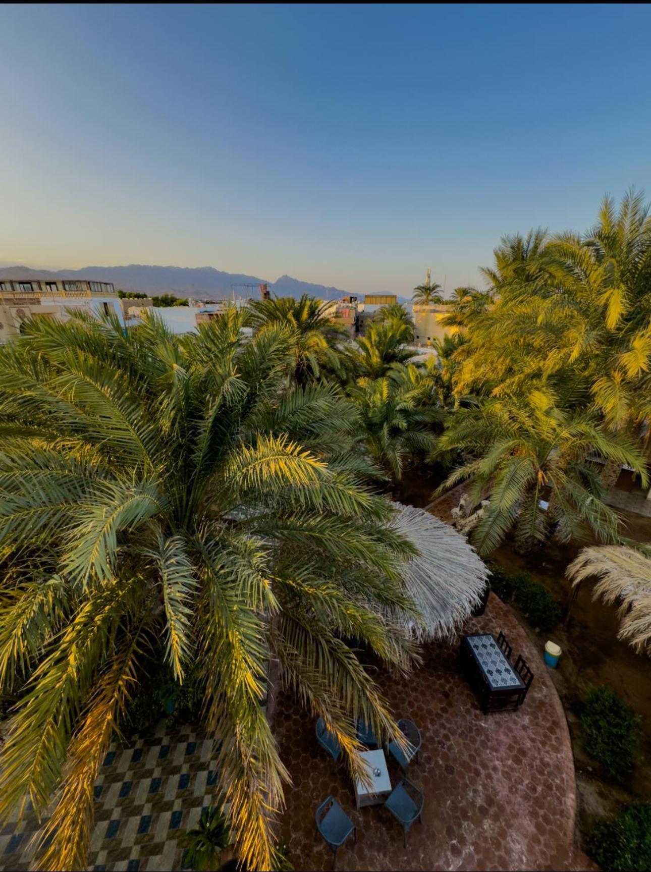 Miramar Camp Dahab Hotel Exterior foto