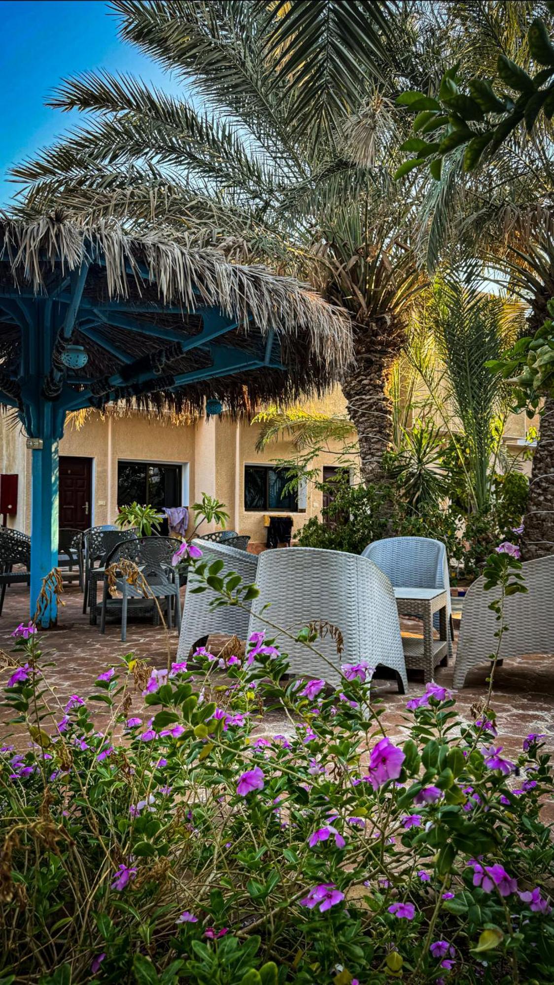 Miramar Camp Dahab Hotel Exterior foto