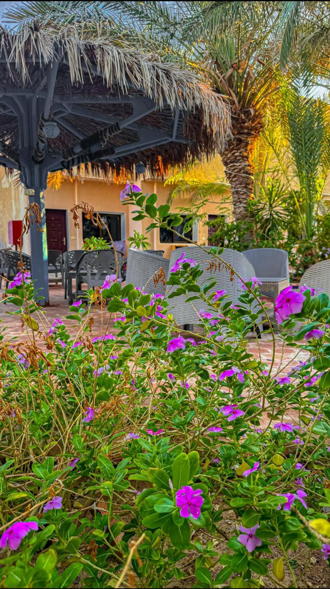 Miramar Camp Dahab Hotel Exterior foto