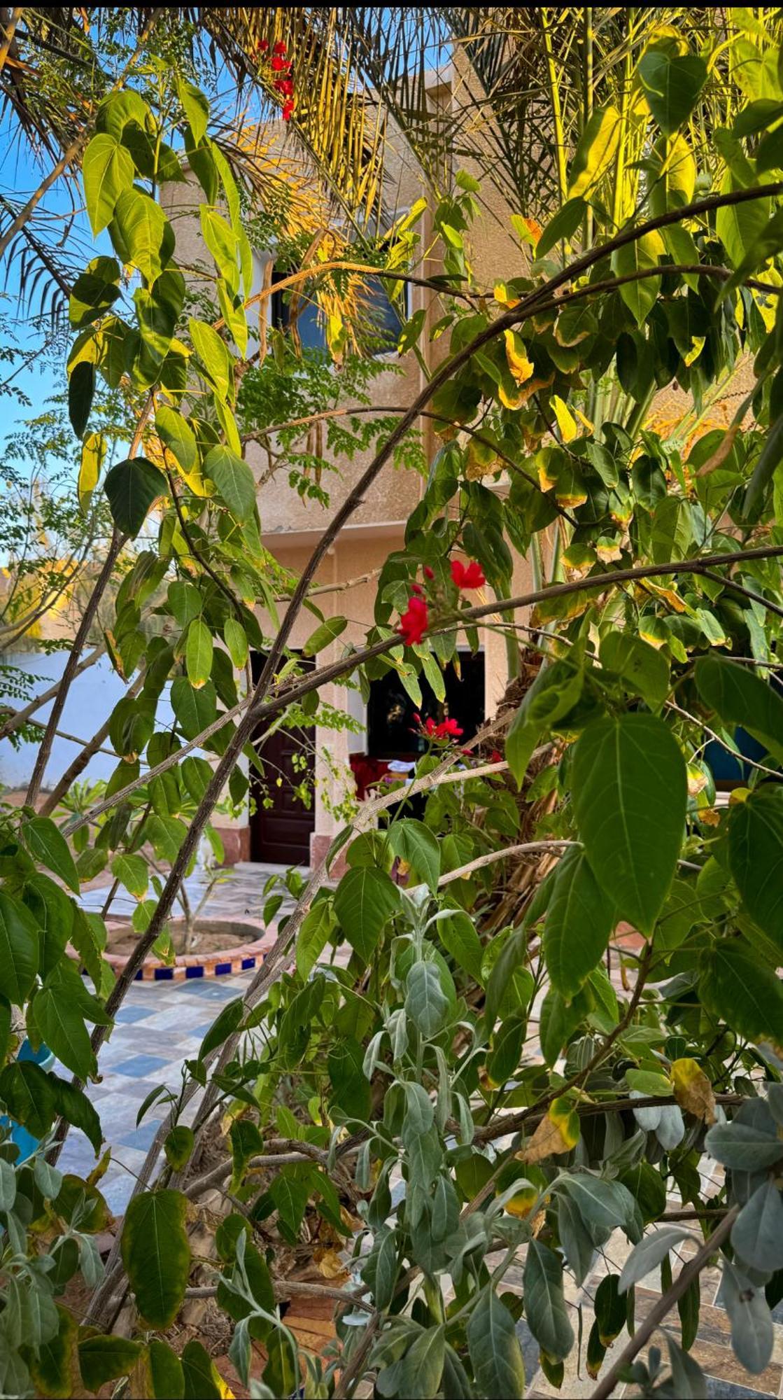 Miramar Camp Dahab Hotel Exterior foto