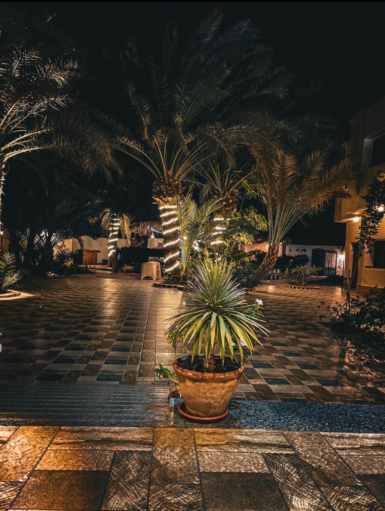 Miramar Camp Dahab Hotel Exterior foto