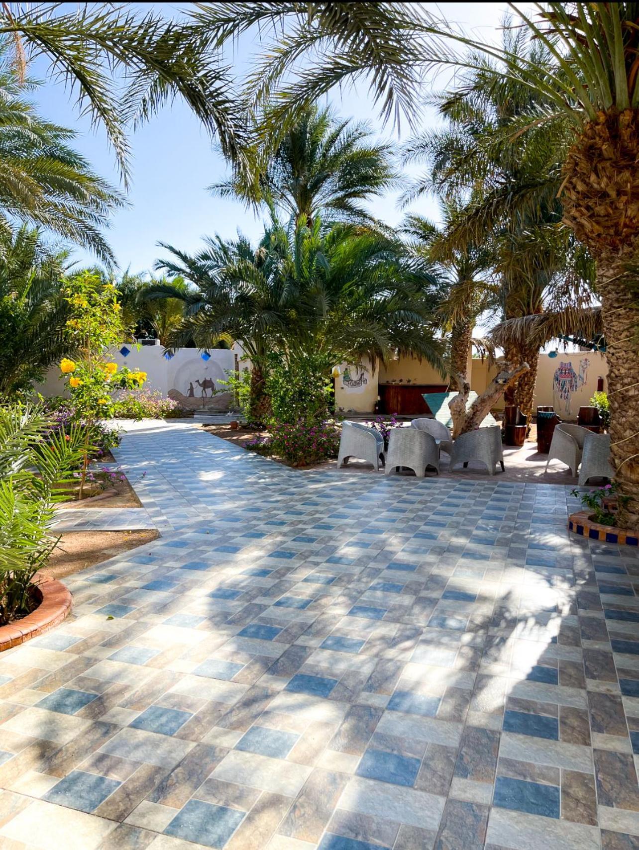 Miramar Camp Dahab Hotel Exterior foto